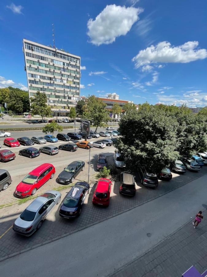 Elefant 021 Novi Sad
