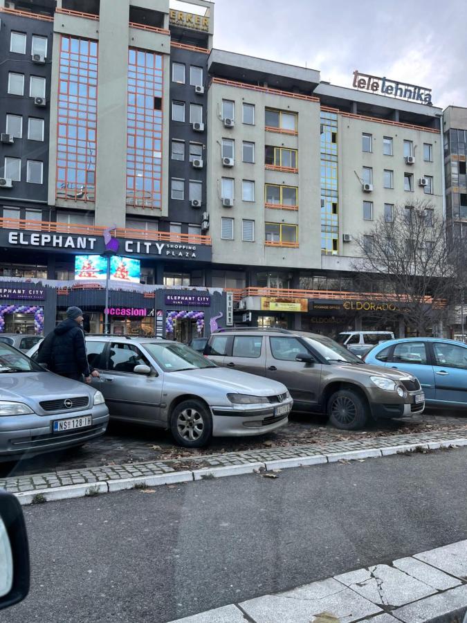 Apartment Elefant 021