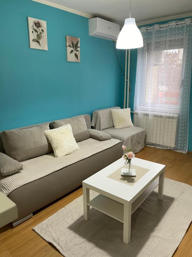 Elefant 021 Novi Sad